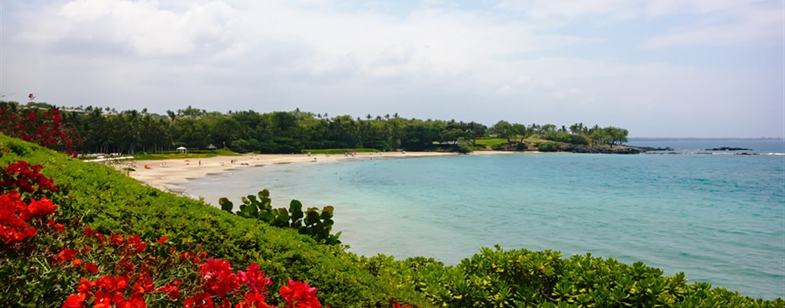 Top attractions and things to do on Big Island, Hawaii