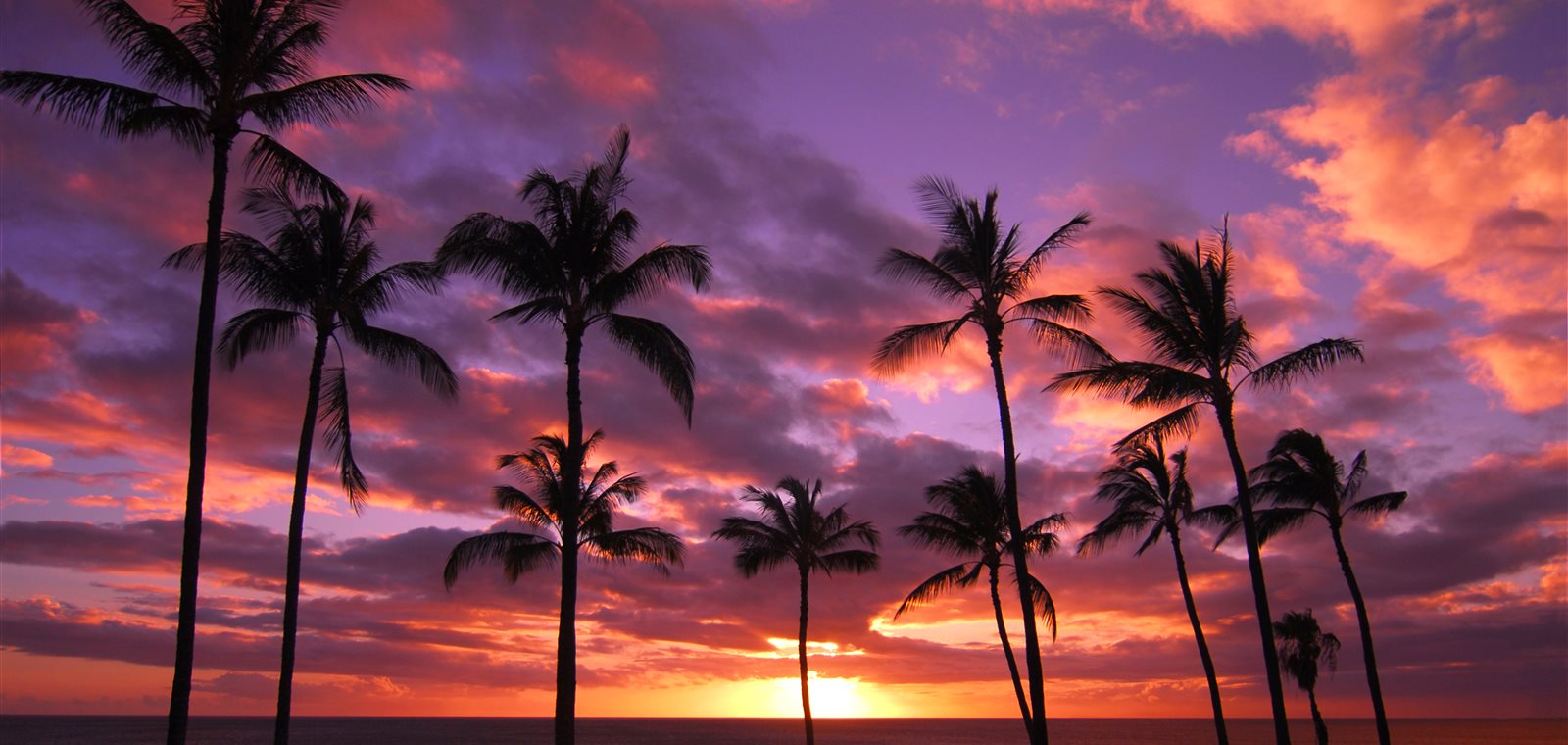Molokai — sea cliffs, empty beaches and authentic Hawaii